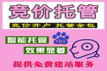 百度竞价推广托管案例深度解读
